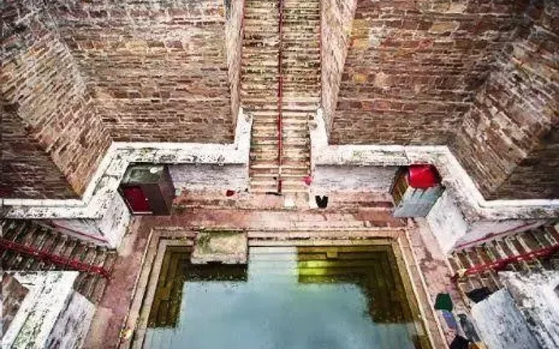 1782994-images20.webp 1782994-images20.webp