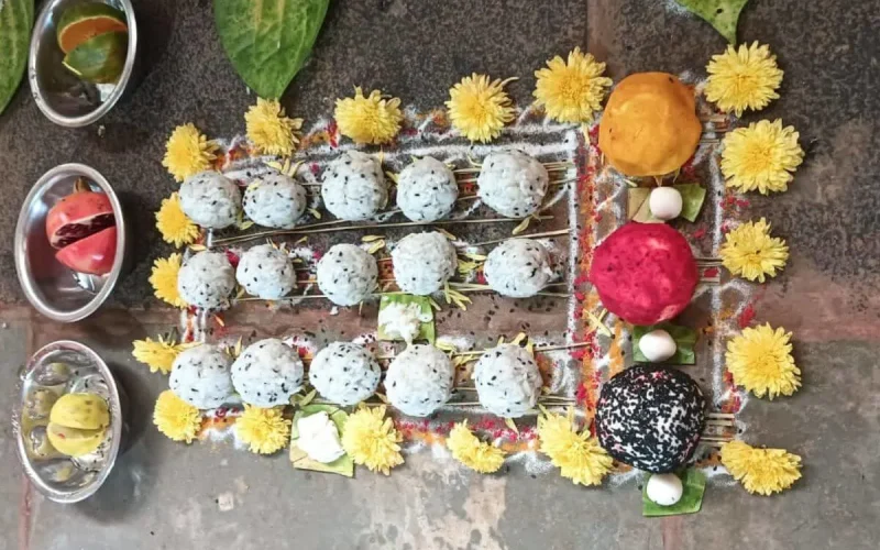 Tripindi-shraddha Tripindi-shraddha