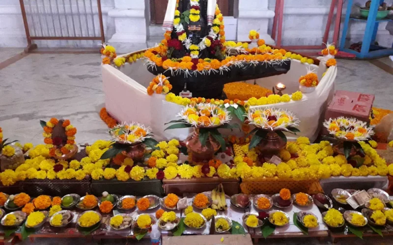 kaalsarpuja kaalsarpuja